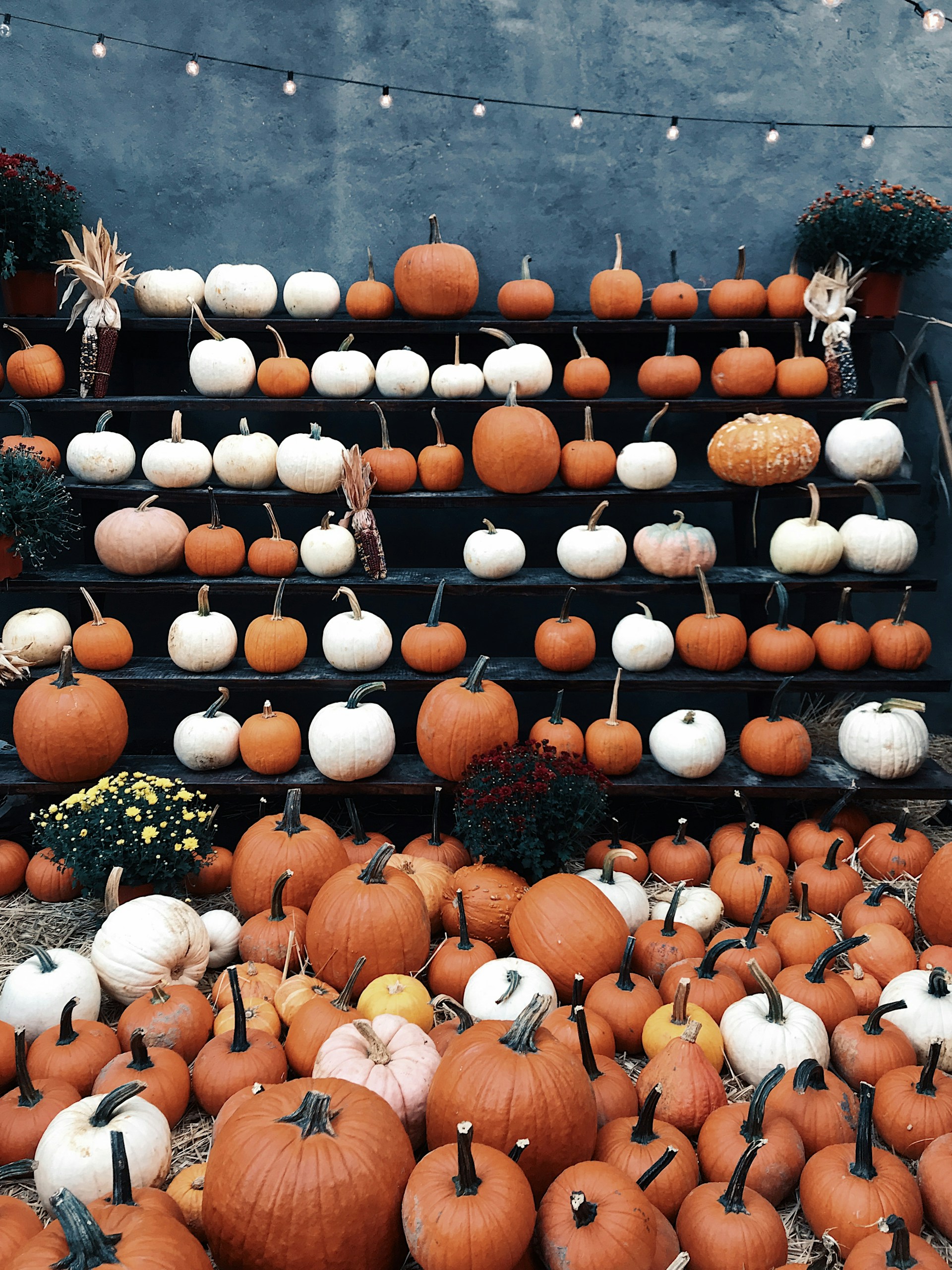 Pumpkins