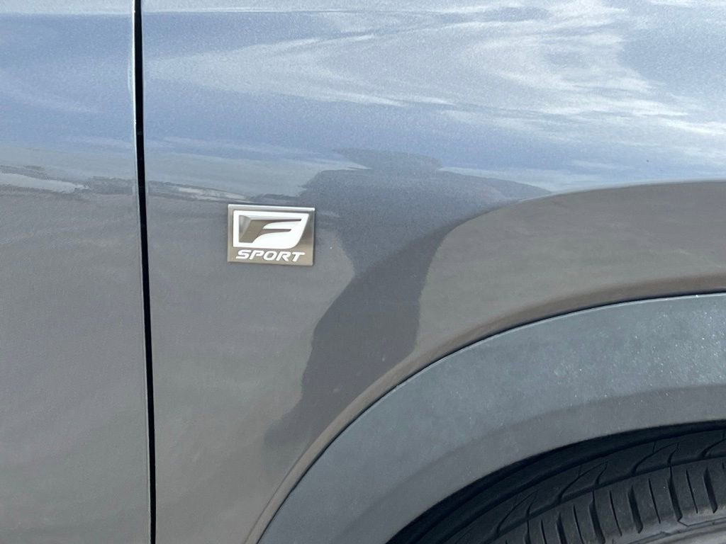 2020 Lexus NX NX 300 F SPORT